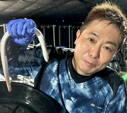 代表取締役の画像